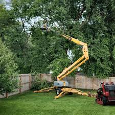 Best Lawn Maintenance Plans  in Moodys, OK