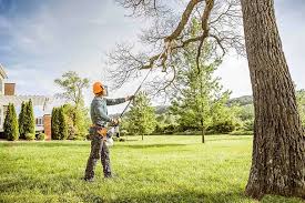 Best Hedge Trimming  in Moodys, OK