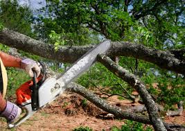 Best Lot and Land Clearing  in Moodys, OK
