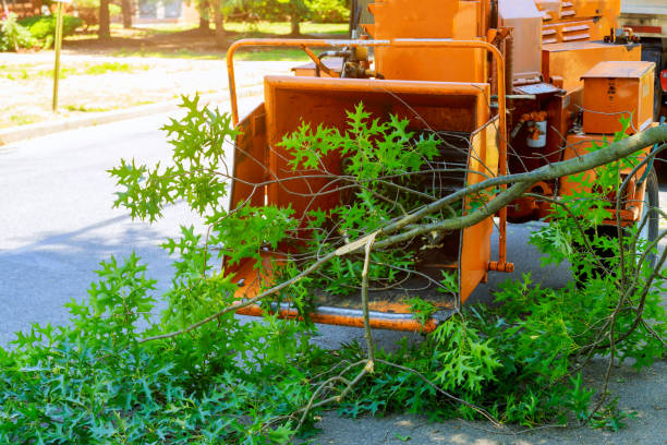 Best Lawn Grading and Leveling  in Moodys, OK