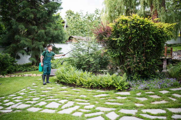 Best Arborist Consultation Services  in Moodys, OK