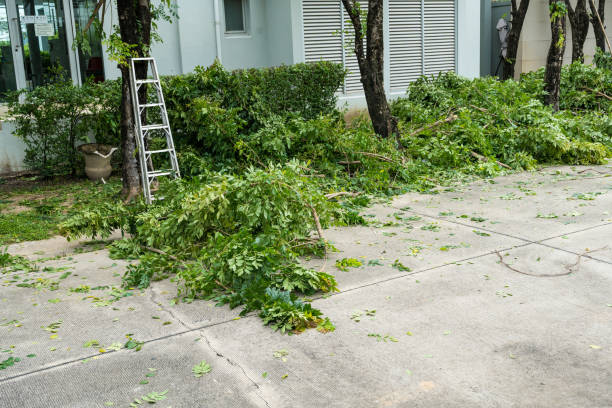 Best Lawn Watering Services  in Moodys, OK