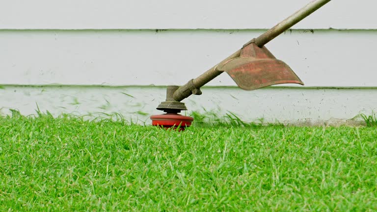 Best Lawn Mowing  in Moodys, OK