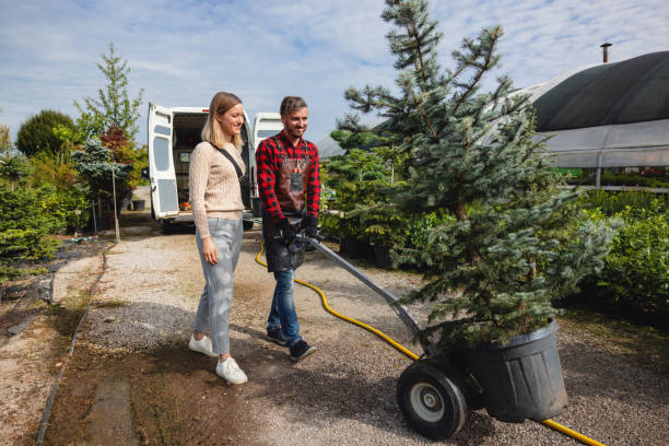 Best Tree Preservation Services  in Moodys, OK