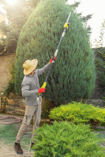 Best Lawn Renovation and Restoration  in Moodys, OK
